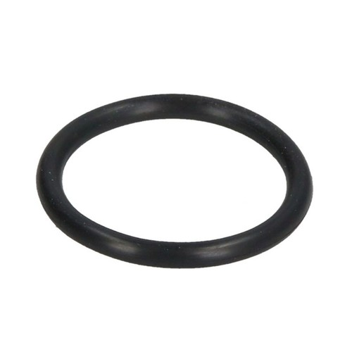 Dichtring